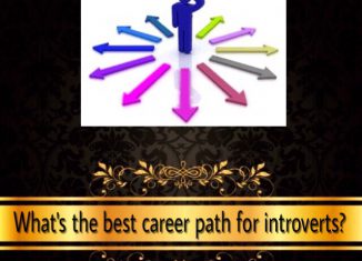 career path for introverts