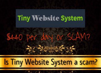 is tiny website system a scam