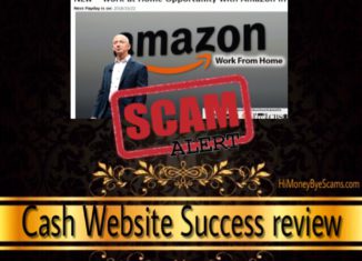 Cash Website Success scam review