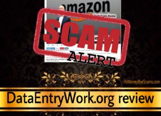 DataEntryWork.org scam review