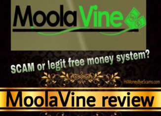 Is MoolaVine a scam review