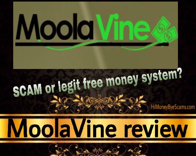 Is MoolaVine a scam review