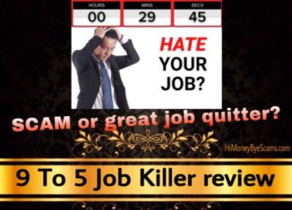 9 To 5 Job Killer review scam