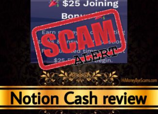 Notion Cash review scam