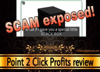 Point 2 Click Profits scam review