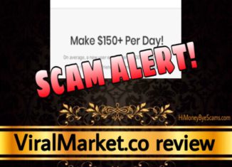 ViralMarket.co scam review