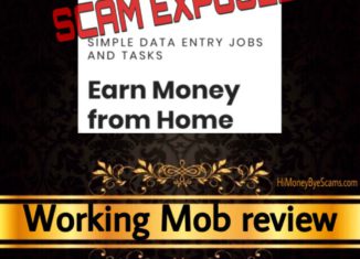 WorkingMob.com review scam