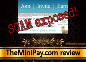 TheMiniPay scam review