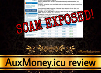 AuxMoney.icu scam review