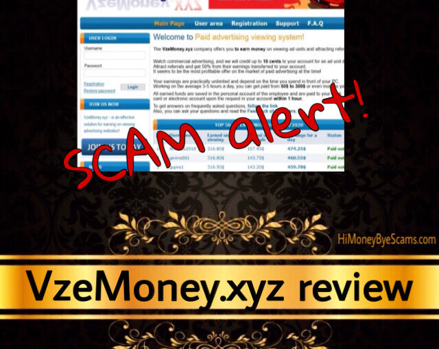 VzeMoney.xyz review scam