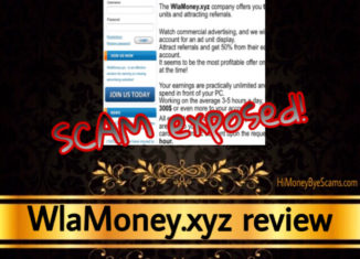 WlaMoney.xyz review scam