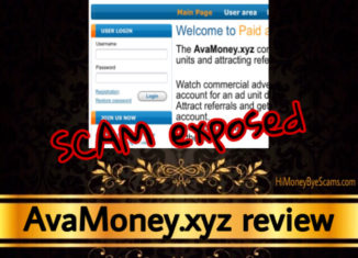 AvaMoney.xyz review scam