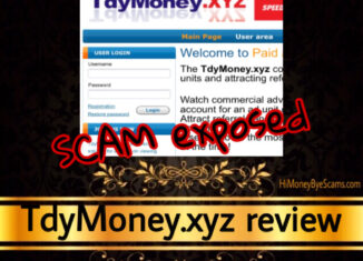 TdyMoney.xyz review scam