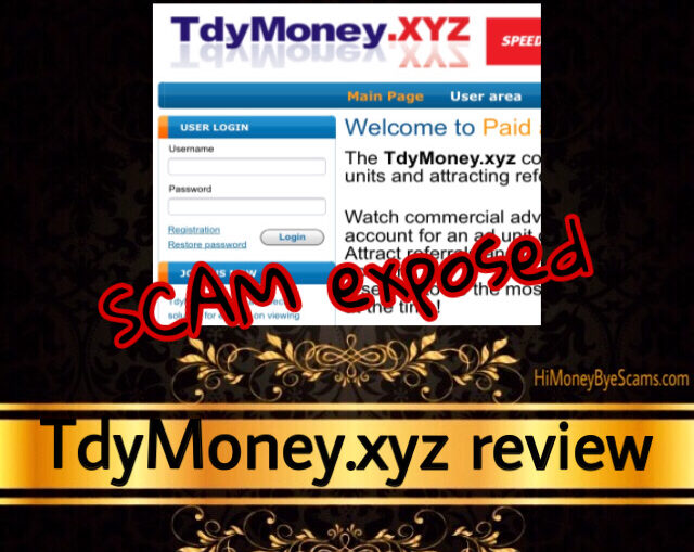 TdyMoney.xyz review scam