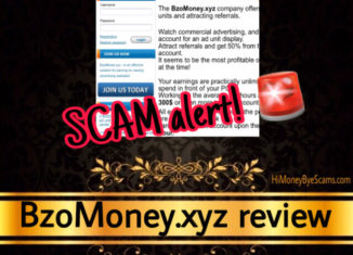 BzoMoney.xyz review scam