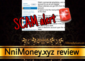 NniMoney.xyz review