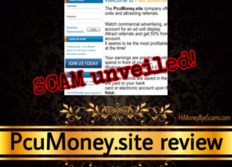 PcuMoney.site review scam