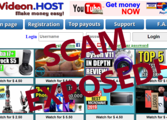 IpVideon.host review scam