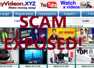NkyVideon.xyz review scam