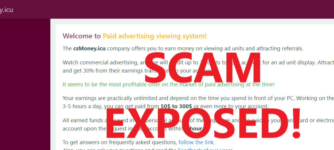 CsMoney.icu review scam