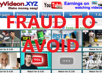 EcyVideon.xyz review scam