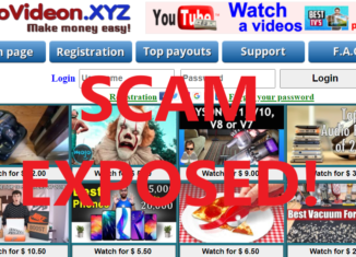 IboVideon.xyz review scam