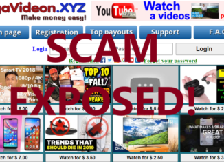 OgaVideon.xyz review scam