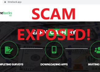 TimeBuck.app review scam