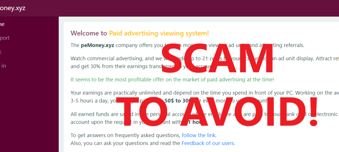 PeMoney.xyz review scam
