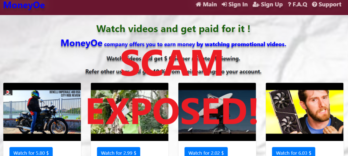 MoneyOe.xyz review scam
