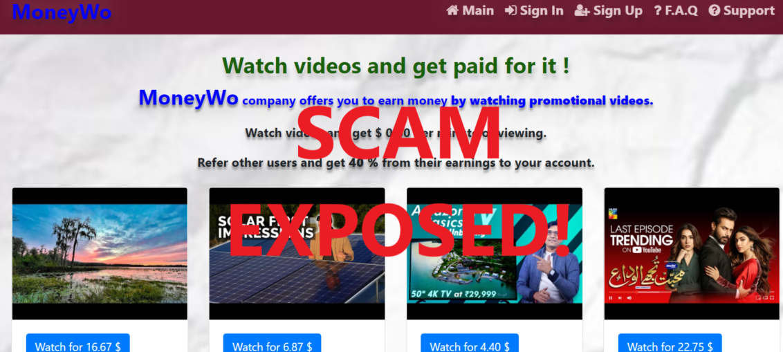 MoneyWo.xyz review scam