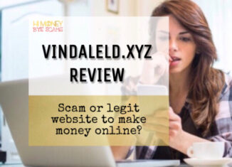 Vindaleld.xyz review scam