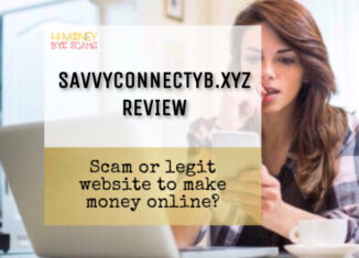 SavvyConnectyb.xyz review scam