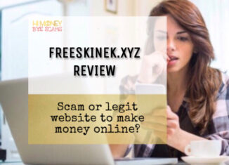 Freeskinek.xyz review scam