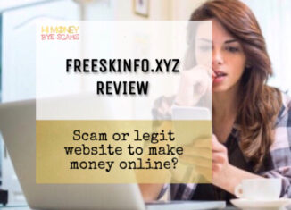 Freeskinfo.xyz review scam