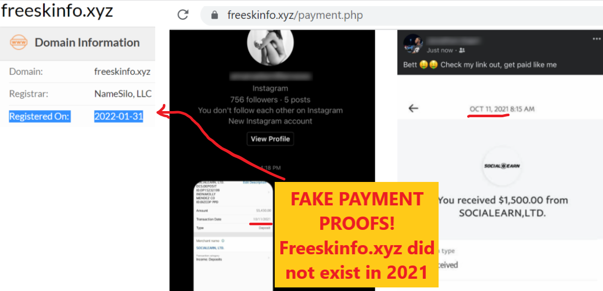 Freeskinfo.xyz review fake