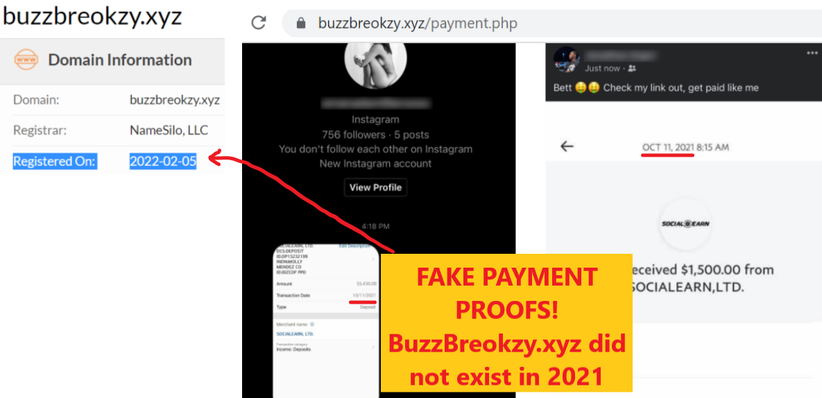 BuzzBreokzy.xyz review fake