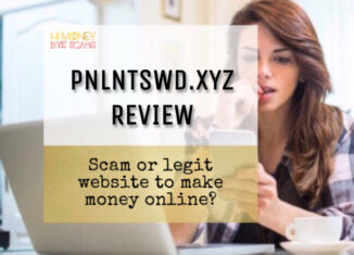 Pnlntswd.xyz review scam