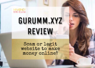 Gurumm.xyz review