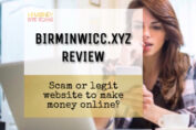 Birminwicc.xyz review