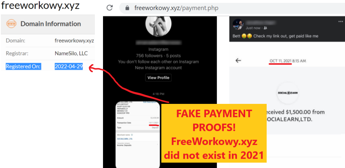 FreeWorkowy.xyz scam